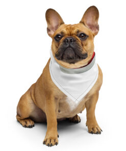 Bandana personalizada con estampado integral colocada sobre fondo neutro (6)