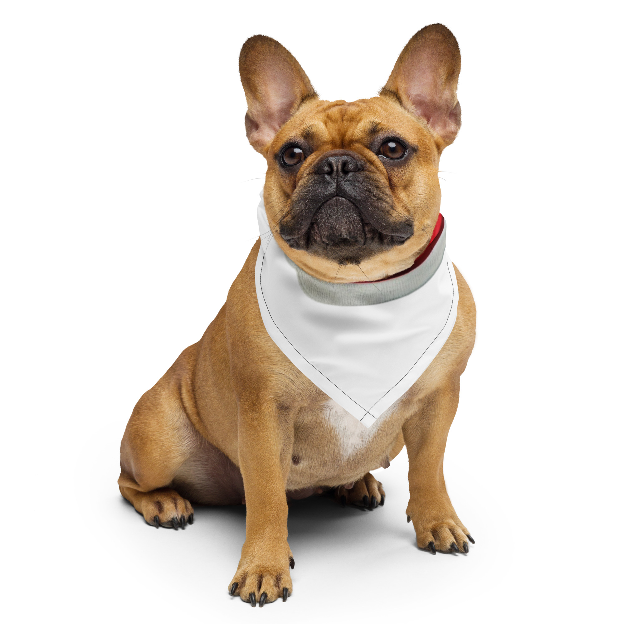 Bandana personalizada con estampado integral colocada sobre fondo neutro (6)